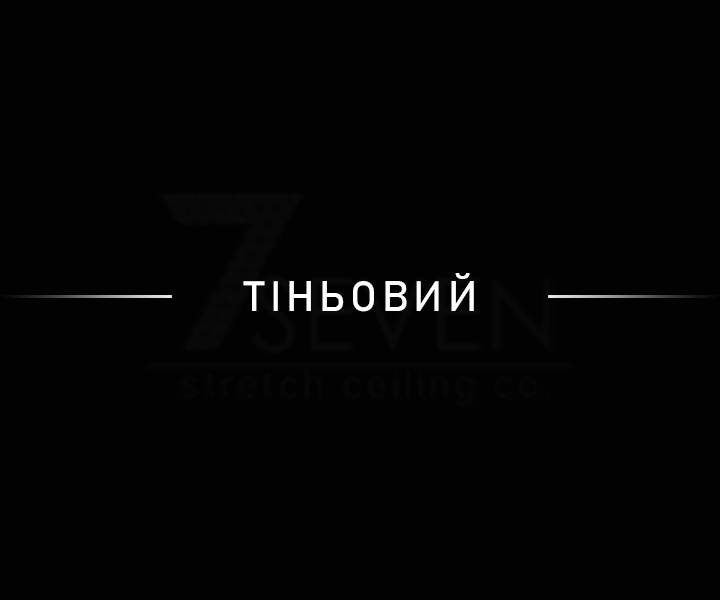 Тіньовий